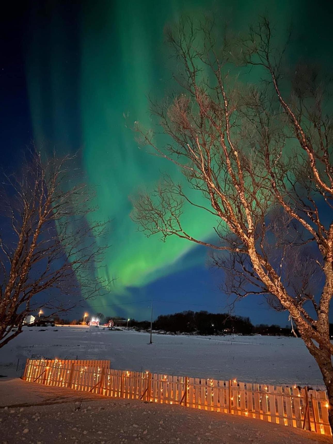 Midnattsolveien 3158,Sommarhusstrand Laukvik Lofoten Norway Exterior photo