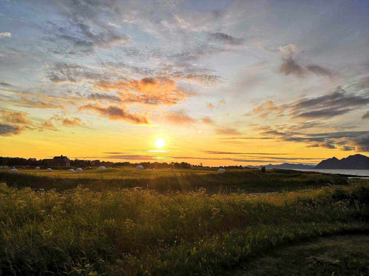 Midnattsolveien 3158,Sommarhusstrand Laukvik Lofoten Norway Exterior photo
